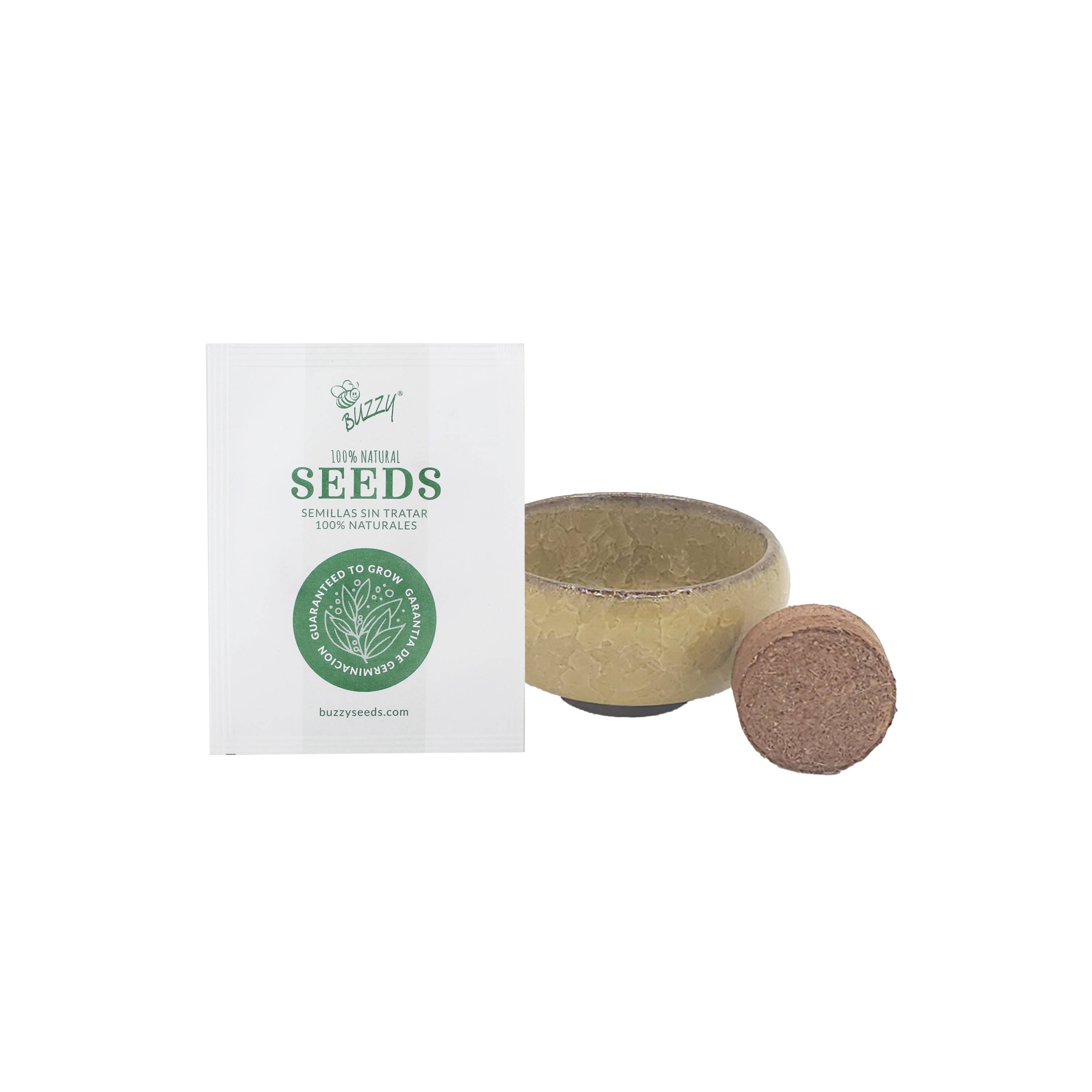 Bonsai Tree Grow Kit