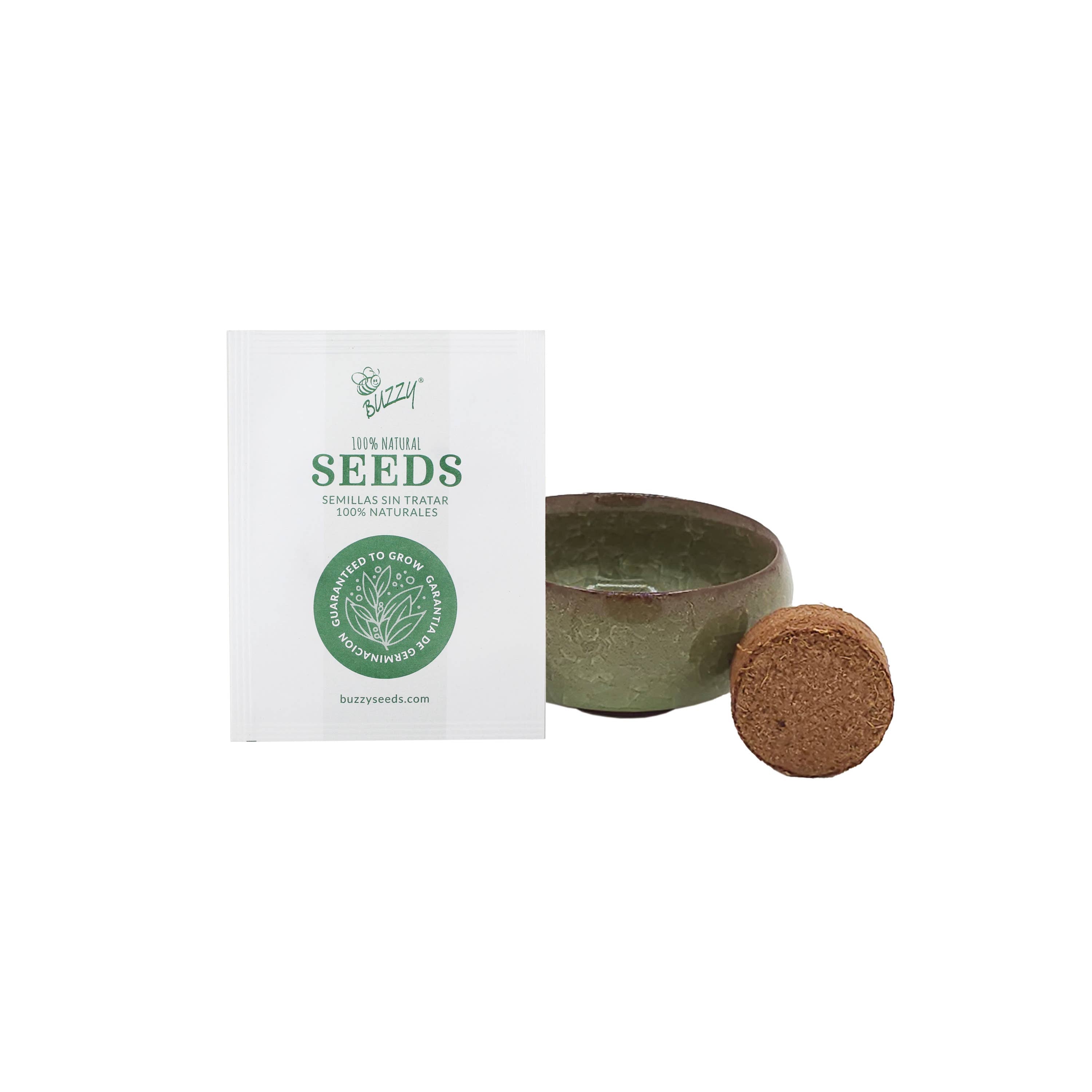 Bonsai Tree Grow Kit