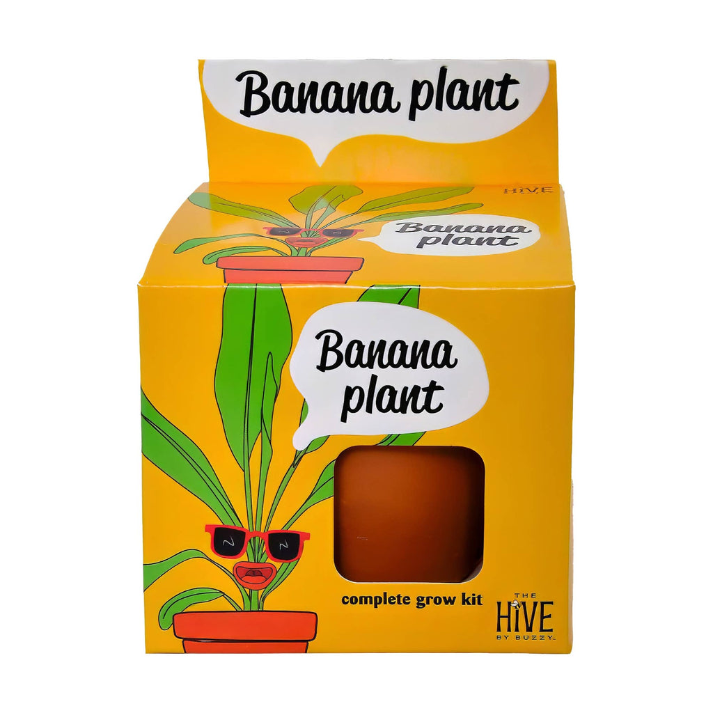 Exotic Banana Plant Grow Kit | Indoor
