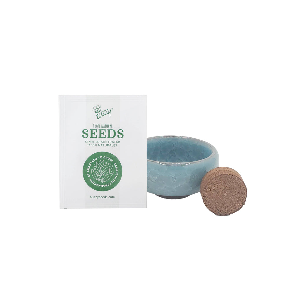 Bonsai Tree Grow Kit