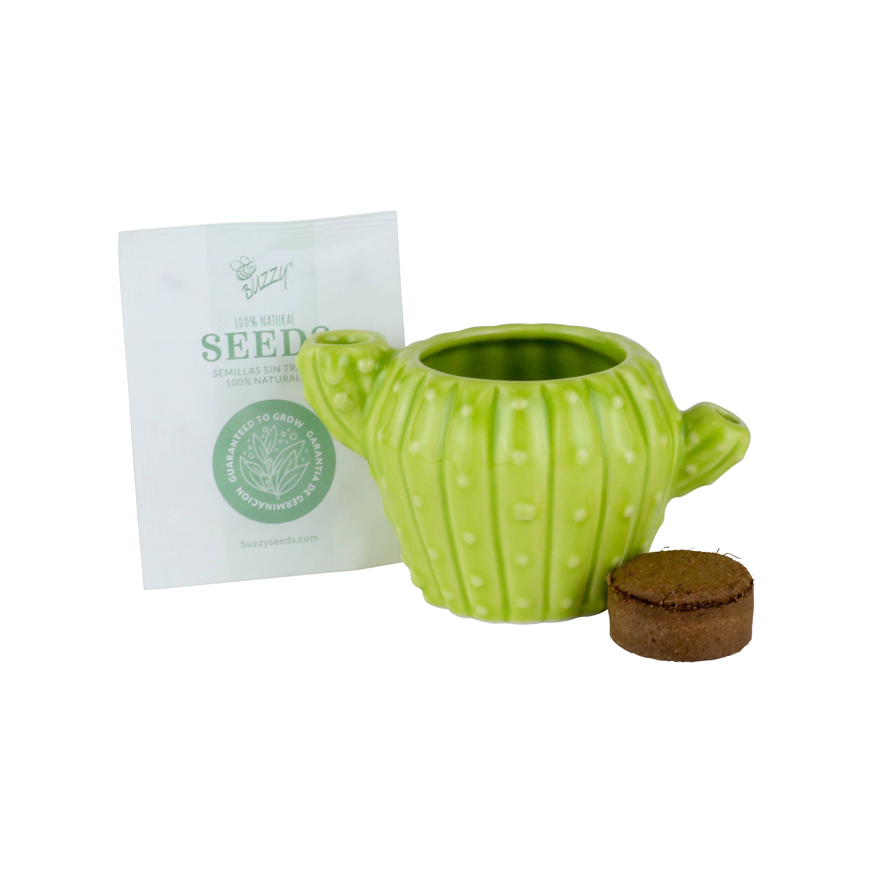 Classic Cactus Grow Kit | Terracotta Planter