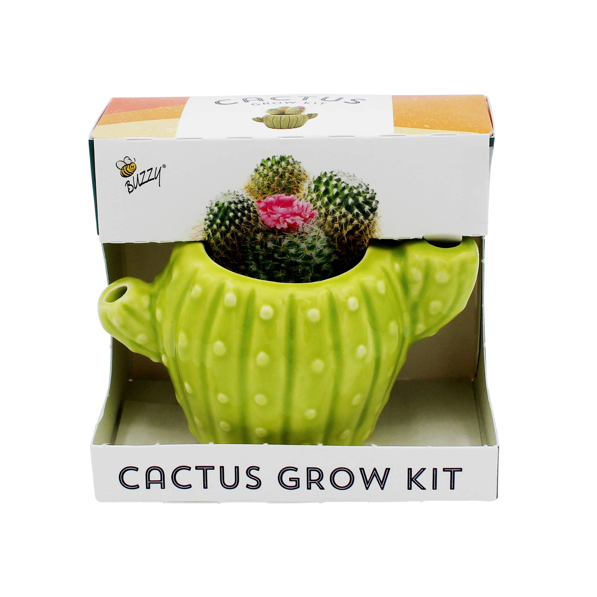Classic Cactus Grow Kit | Terracotta Planter