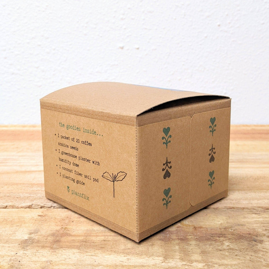 Houseplant Seed Kit
