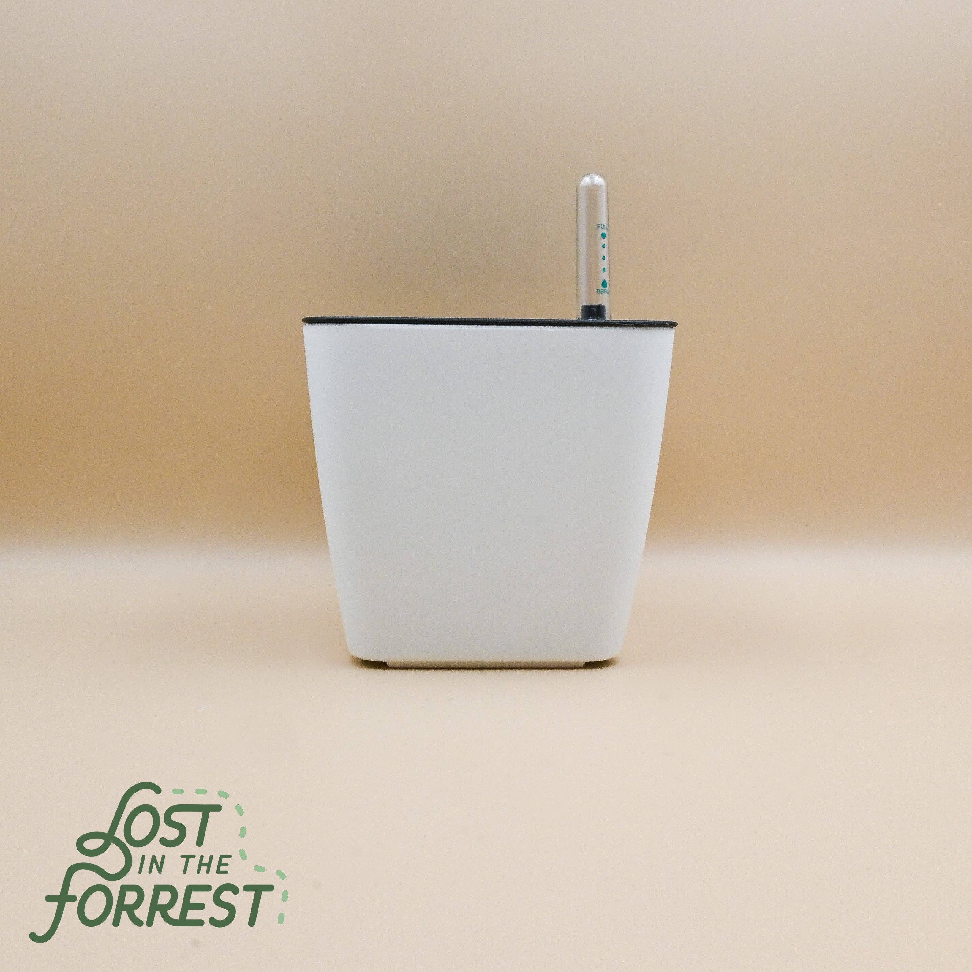 Self-Watering Pot