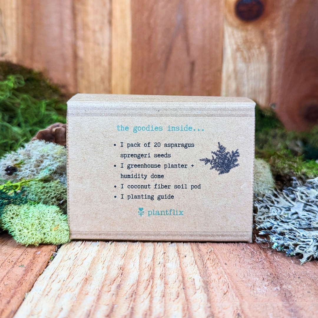Houseplant Seed Kit