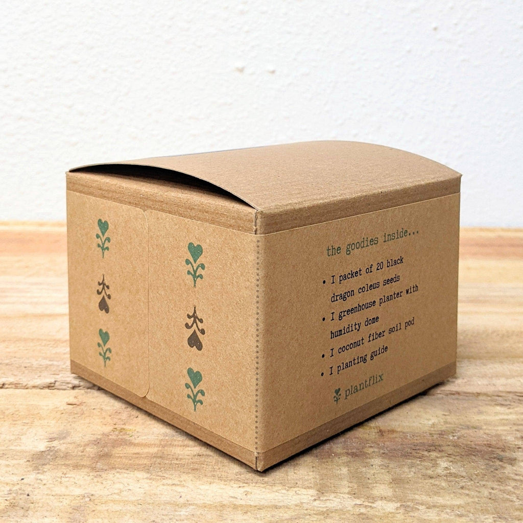 Houseplant Seed Kit