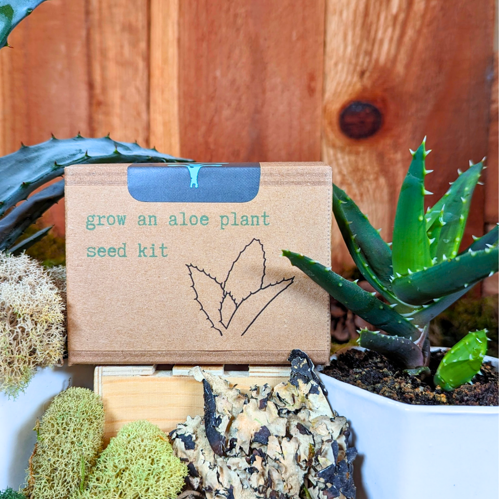 Houseplant Seed Kit