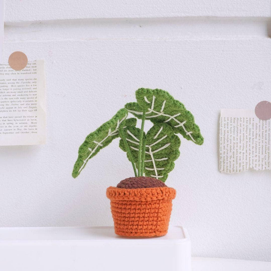 Alocasia Frydek Pot Crochet, Handmade Amigurumi Plant