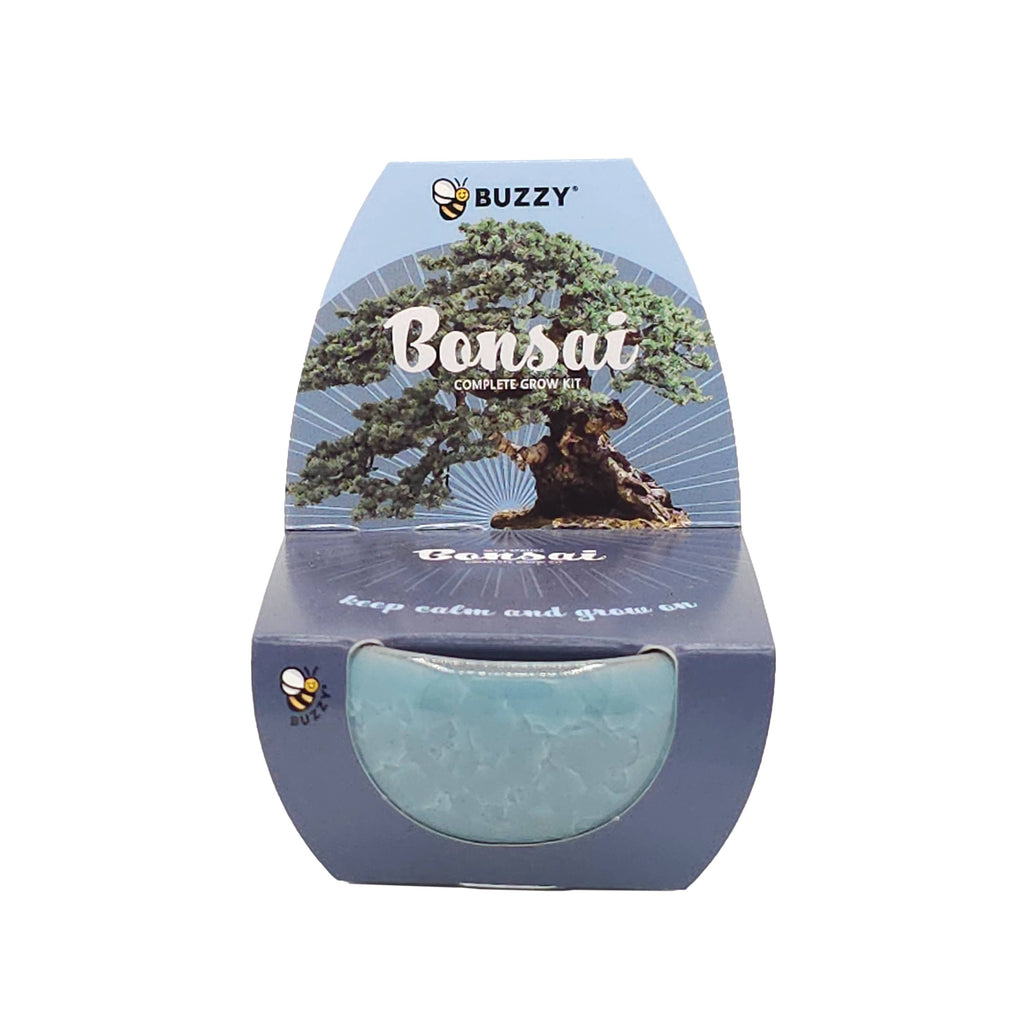 Bonsai Tree Grow Kit