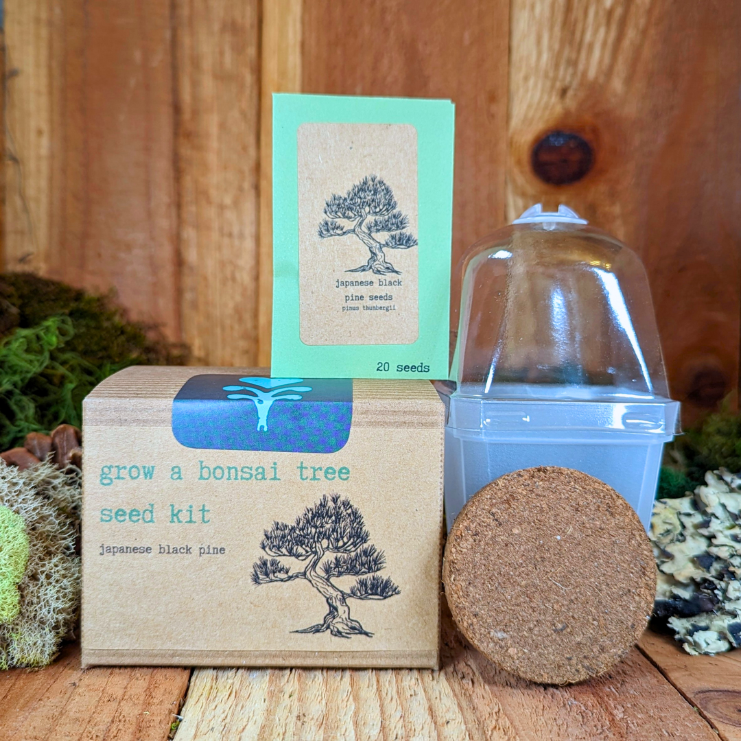 Houseplant Seed Kit