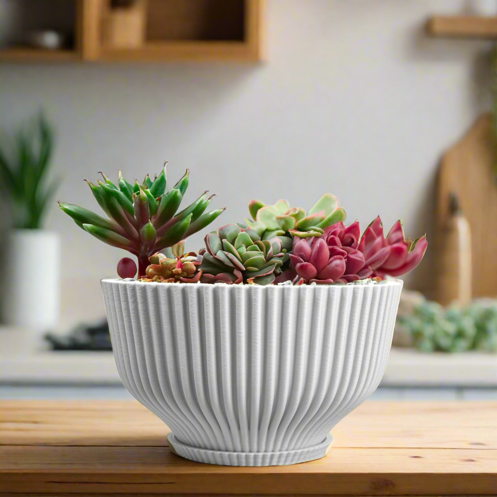Bonsai Pot with Drainage & Tray