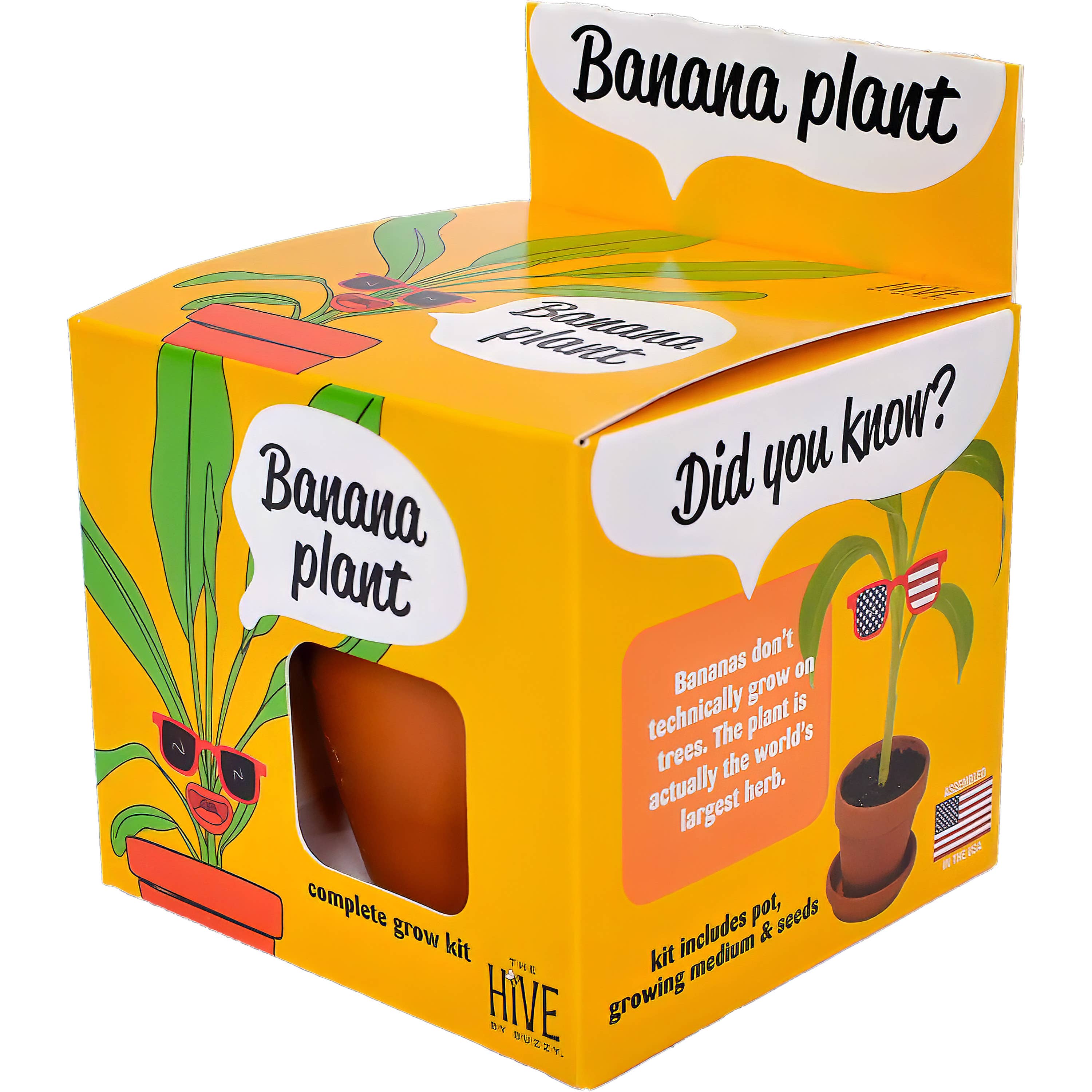 Exotic Banana Plant Grow Kit | Indoor
