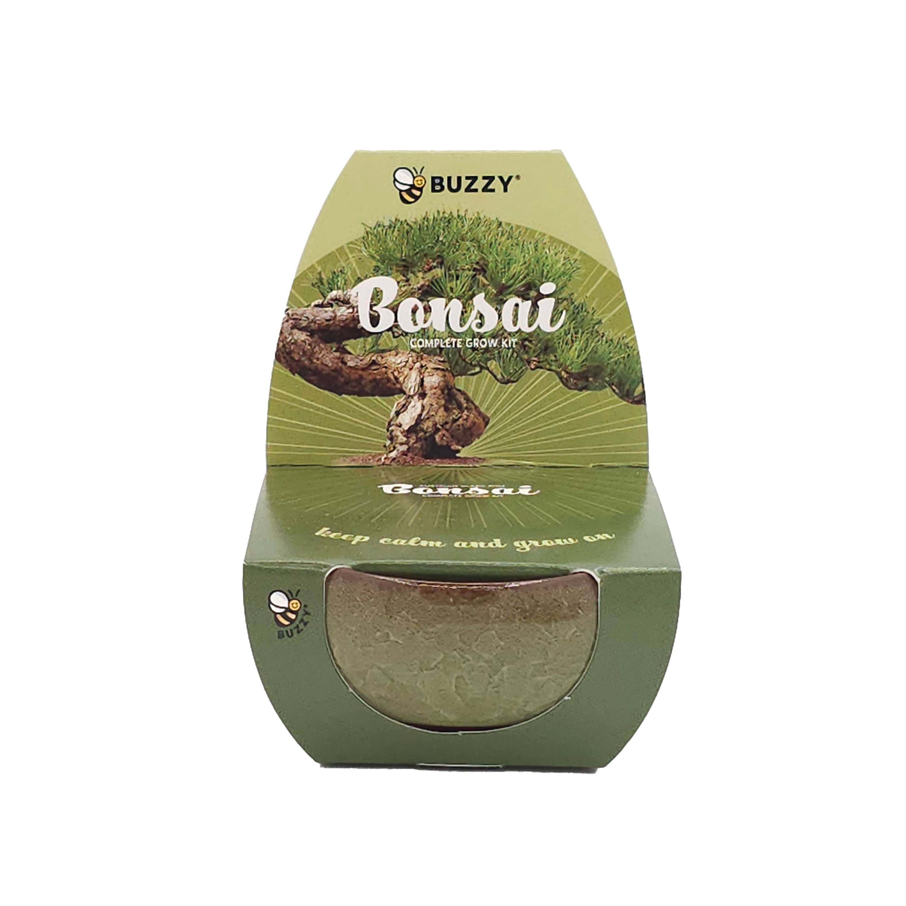 Bonsai Tree Grow Kit