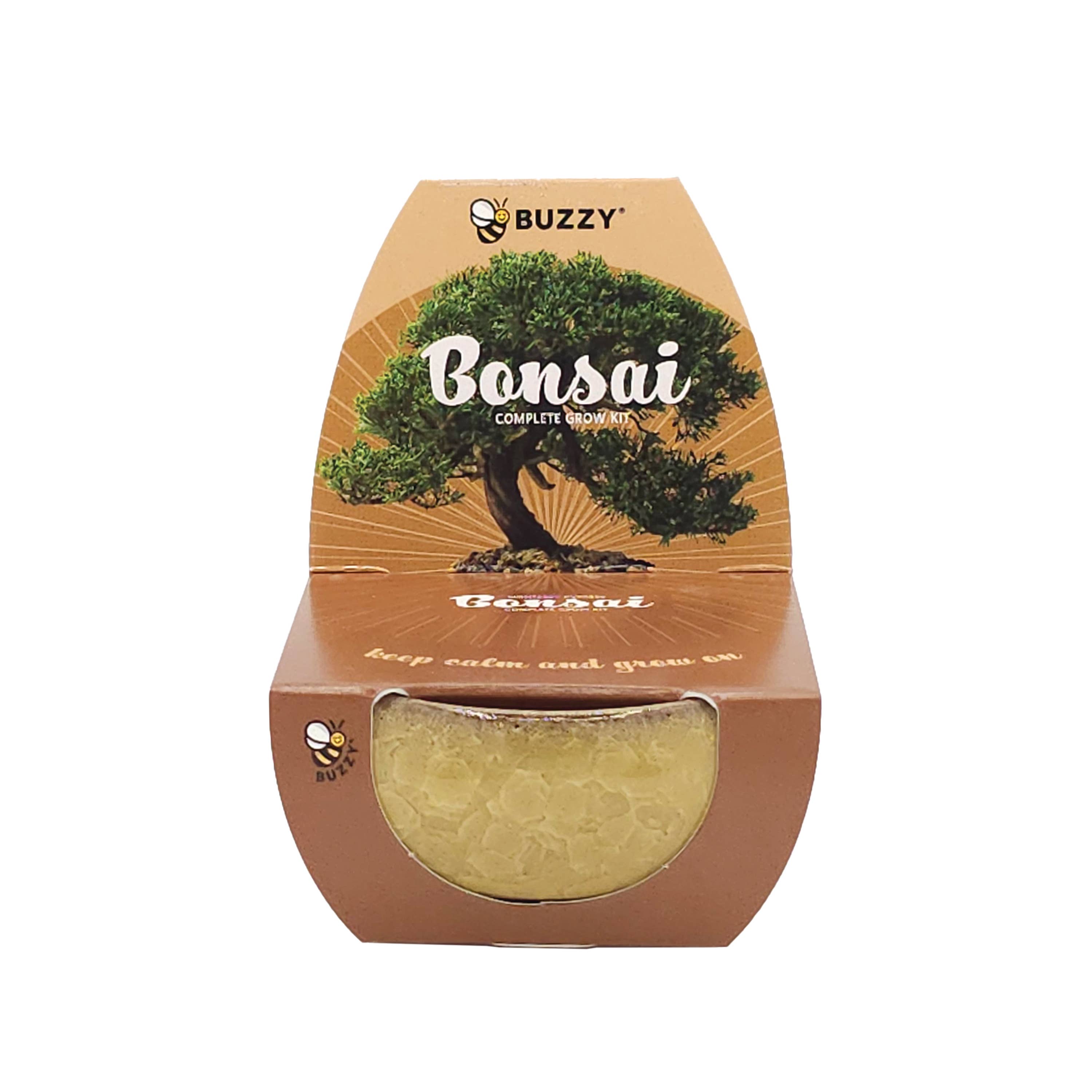 Bonsai Tree Grow Kit