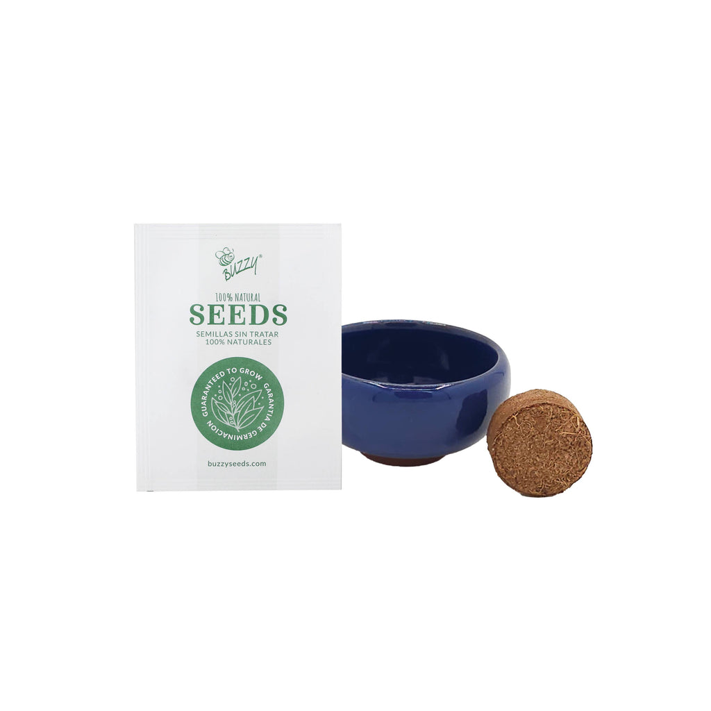 Bonsai Tree Grow Kit
