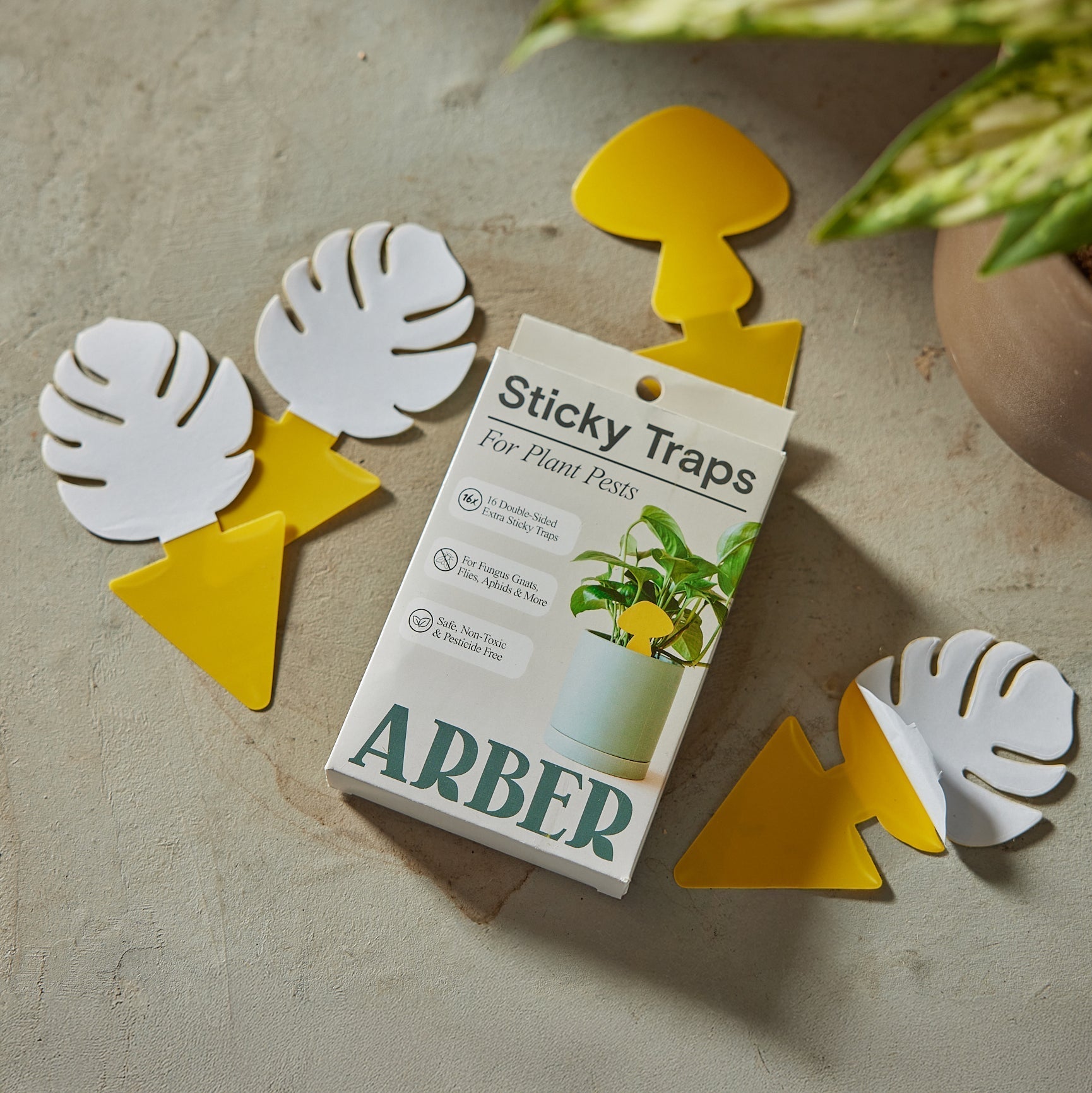 Sticky Traps for Plant Pests