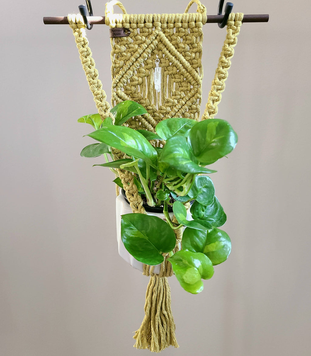 The Quartz - Wall Based Plant Hanger
