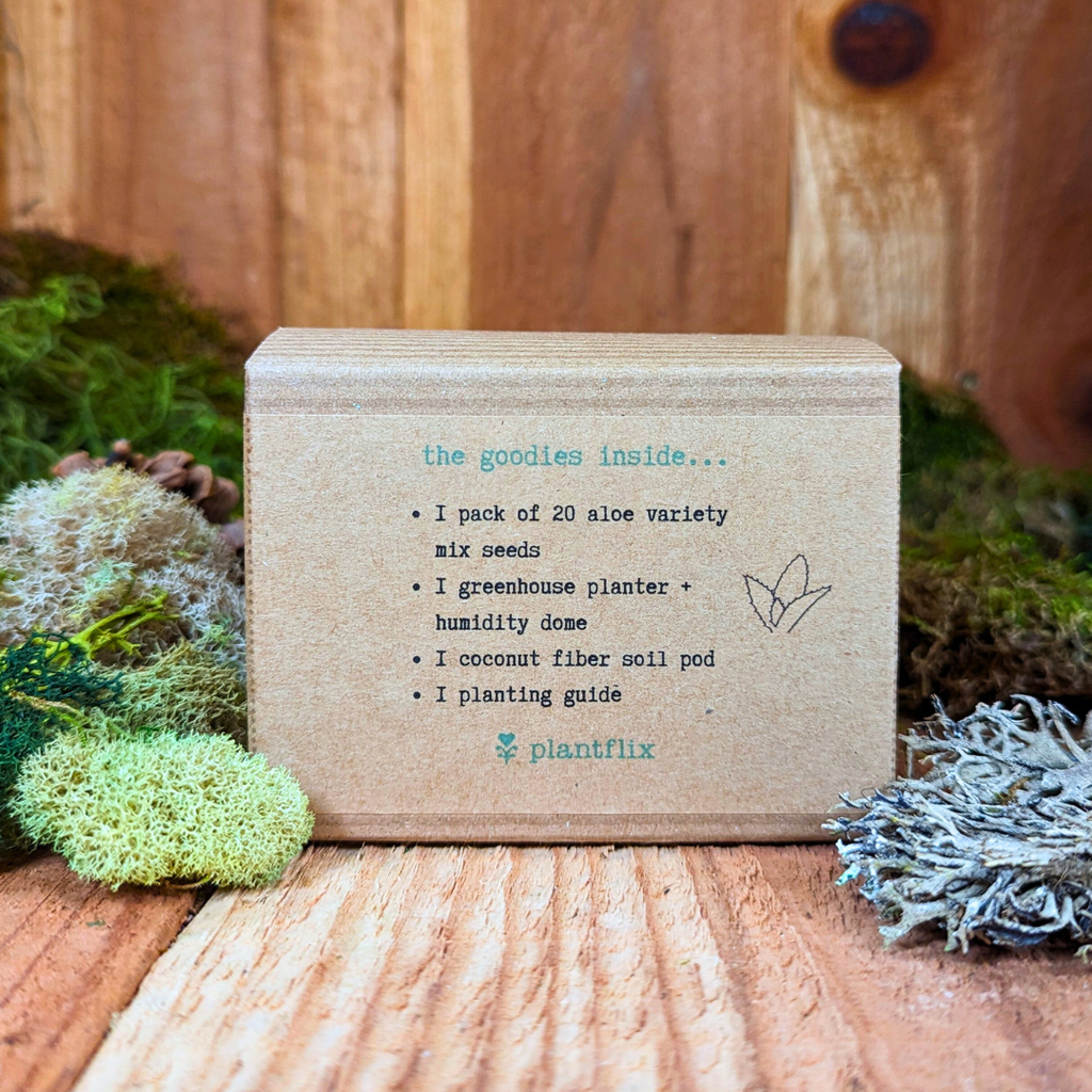 Houseplant Seed Kit
