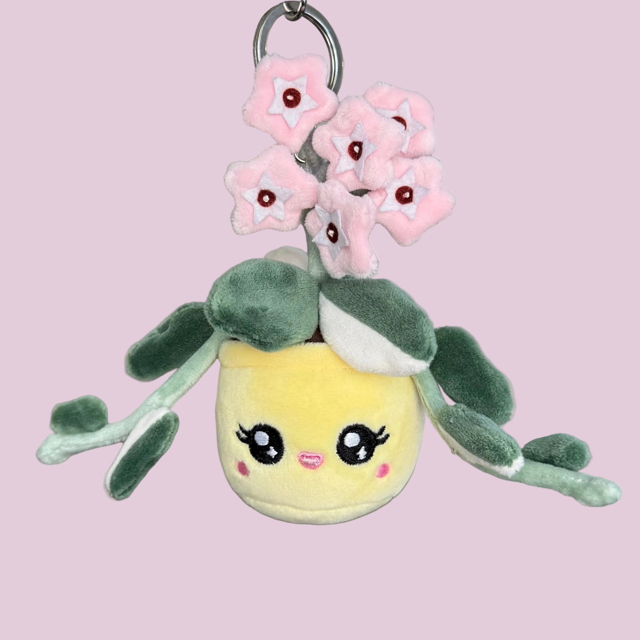 Hoya Carnosa ‘Krimson Queen’ Plush Keychain – 5 inch Variegated Houseplant Bag Charm