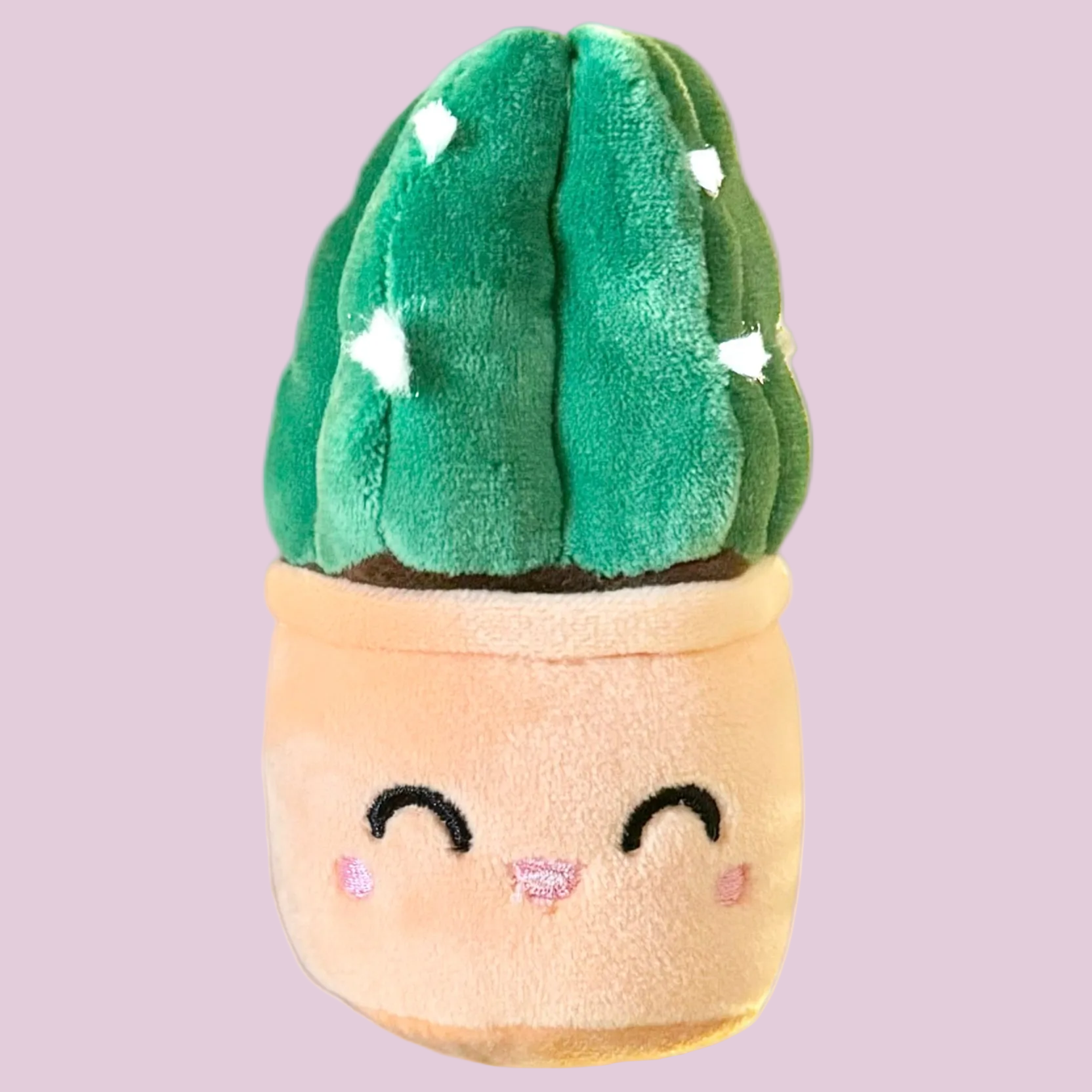 Cuddly Cactus Plush Keychain – 5″ Plant Lover Bag Charm