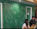 Plant Bingo | St. Vrain Cidery | December Event