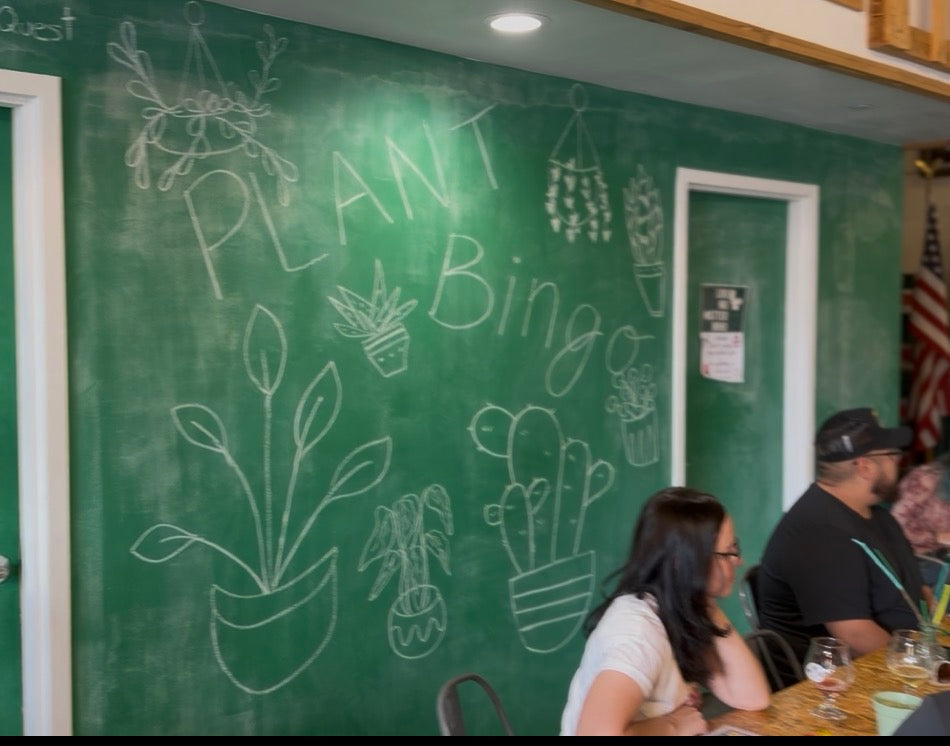 Plant Bingo | St. Vrain Cidery | December Event