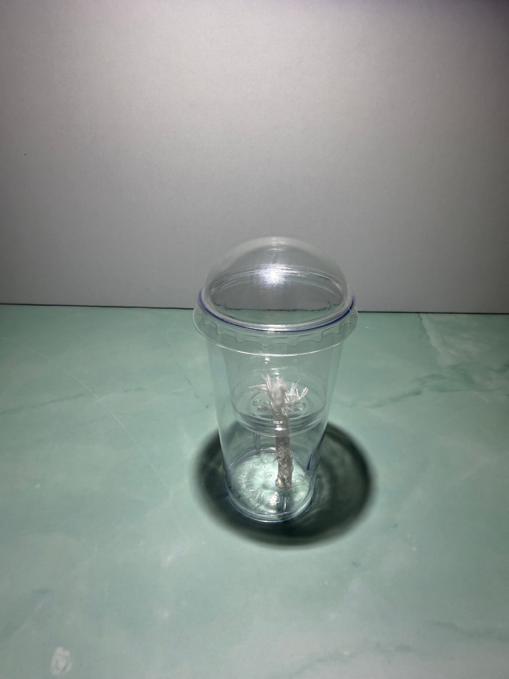 Self-Watering Propagation Cup for Alocasia Corms & Seedlings