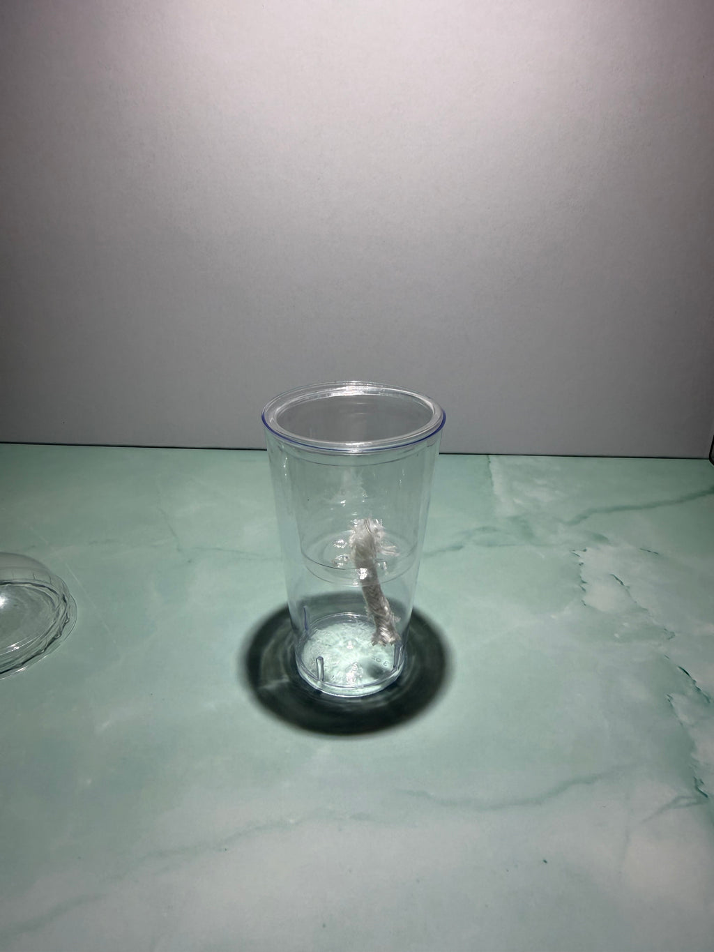 Self-Watering Propagation Cup for Alocasia Corms & Seedlings