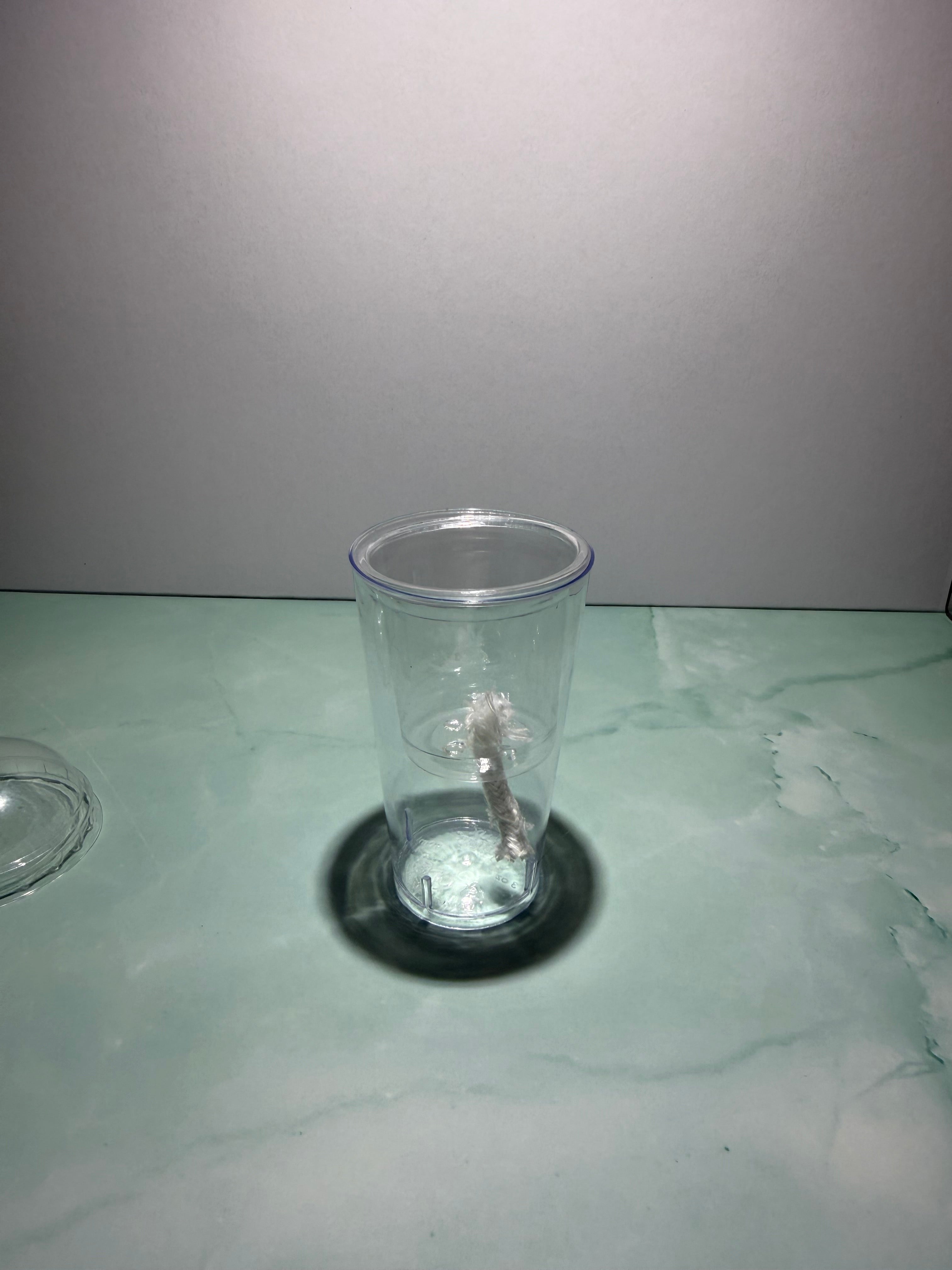Self-Watering Propagation Cup for Alocasia Corms & Seedlings