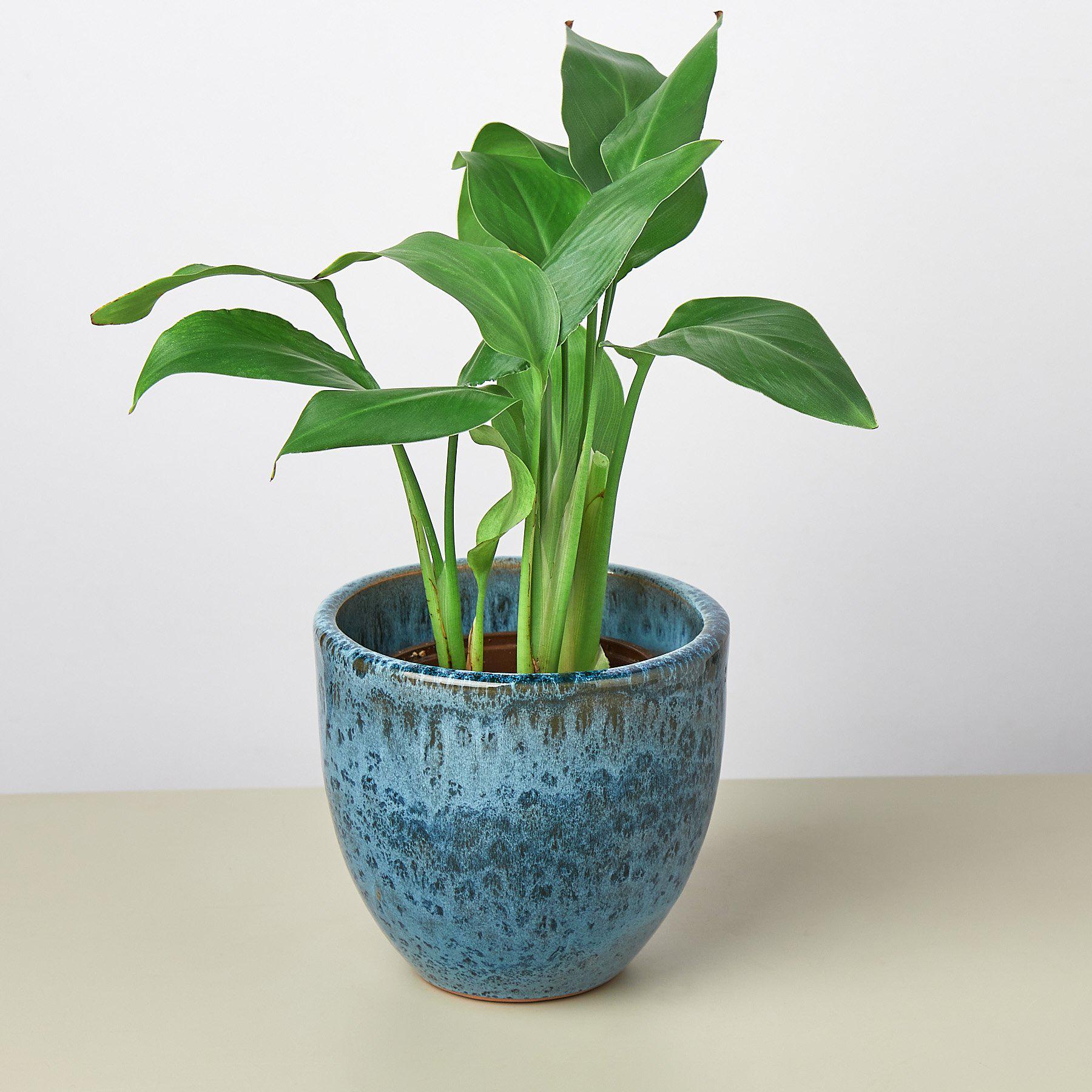 Liberty Bell Planter