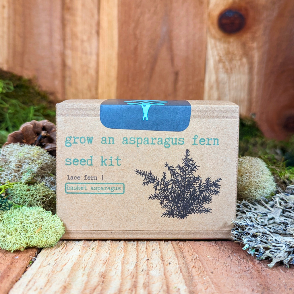 Houseplant Seed Kit