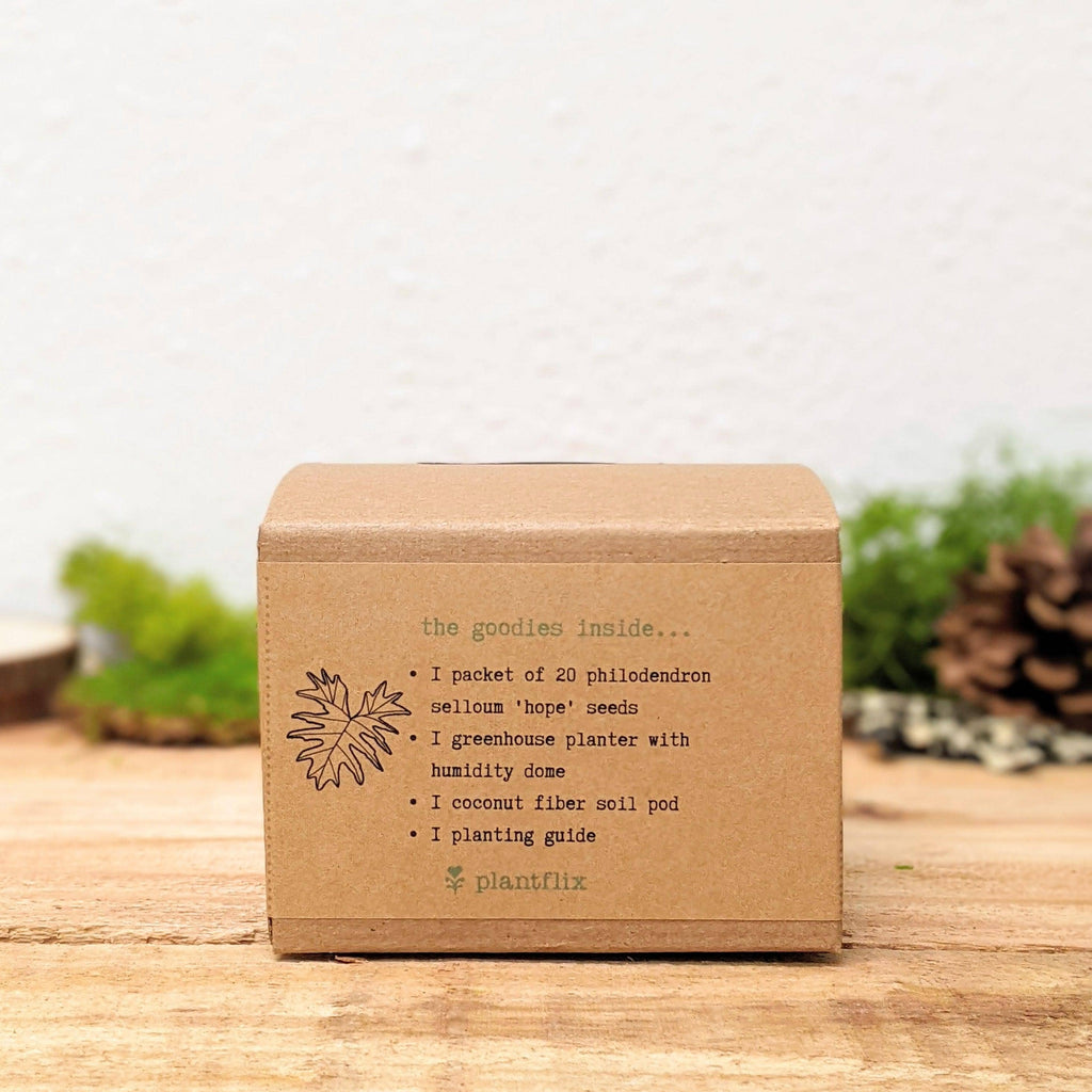 Houseplant Seed Kit