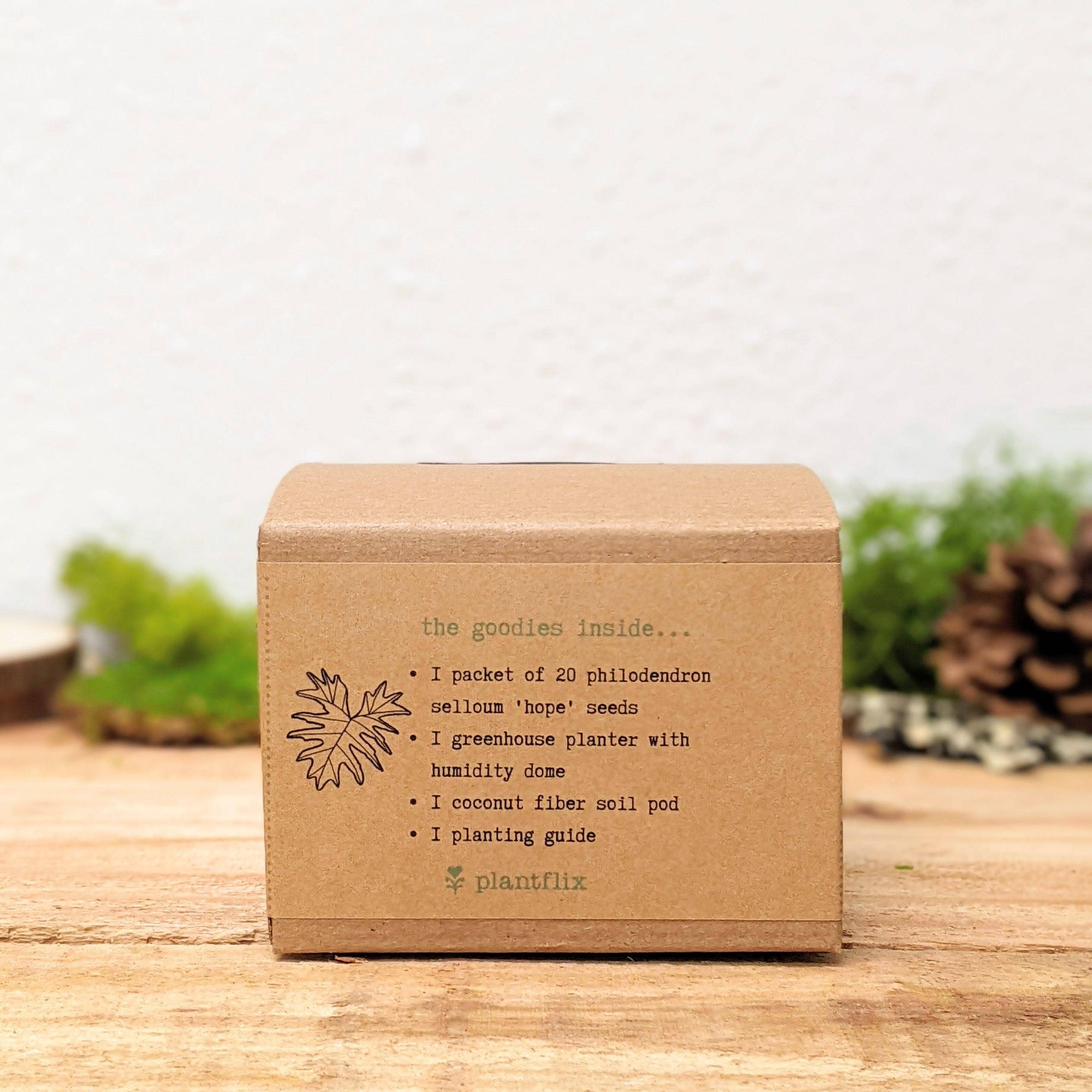 Houseplant Seed Kit