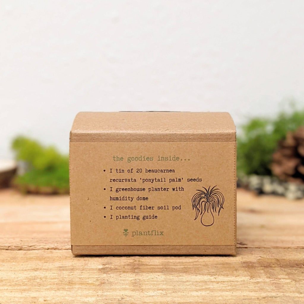 Houseplant Seed Kit