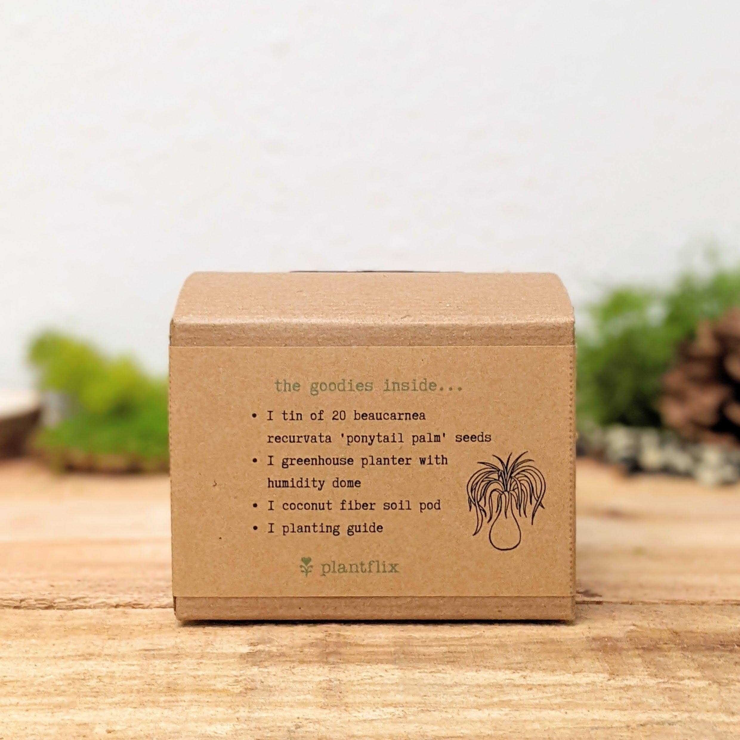 Houseplant Seed Kit