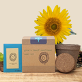 Dwarf  Sunflower Seed Kit