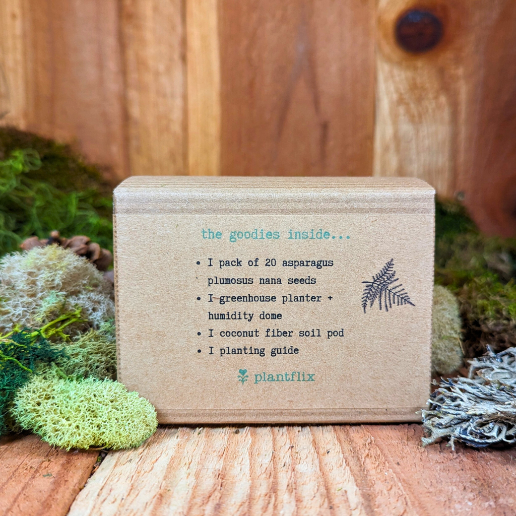 Houseplant Seed Kit