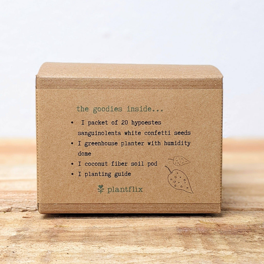 Houseplant Seed Kit