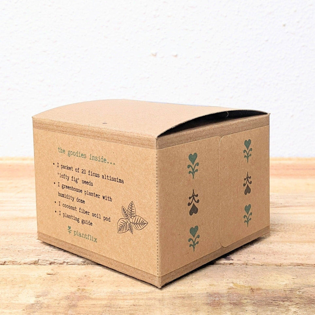 Houseplant Seed Kit