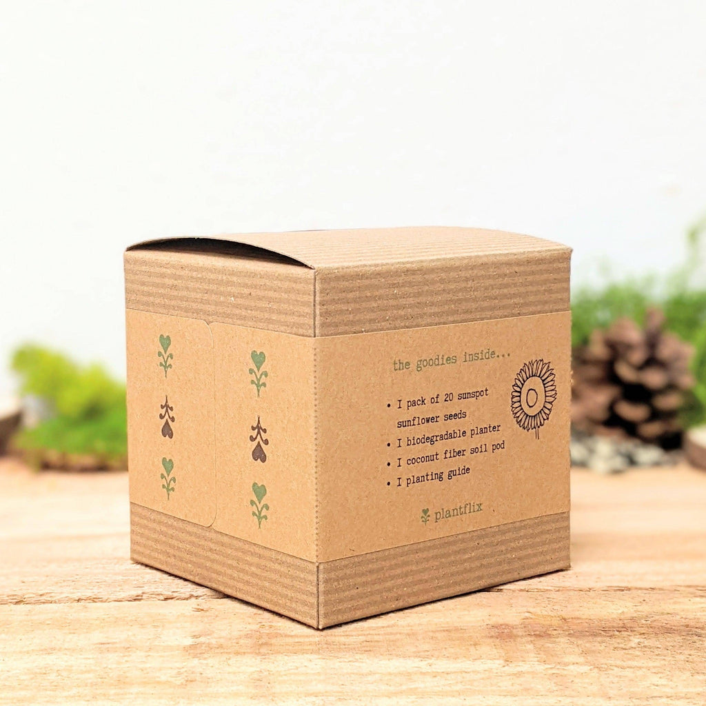 Dwarf  Sunflower Seed Kit