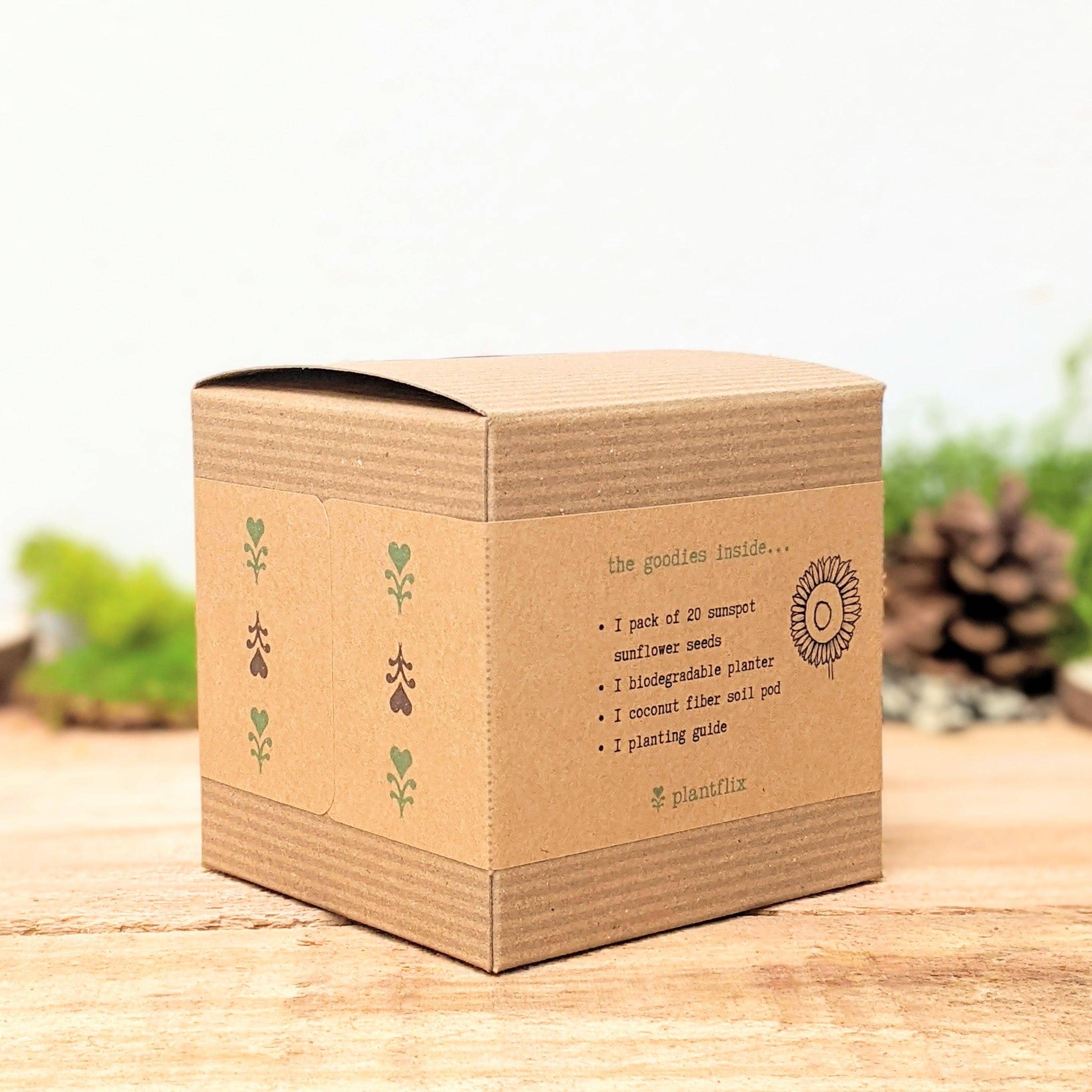 Dwarf  Sunflower Seed Kit