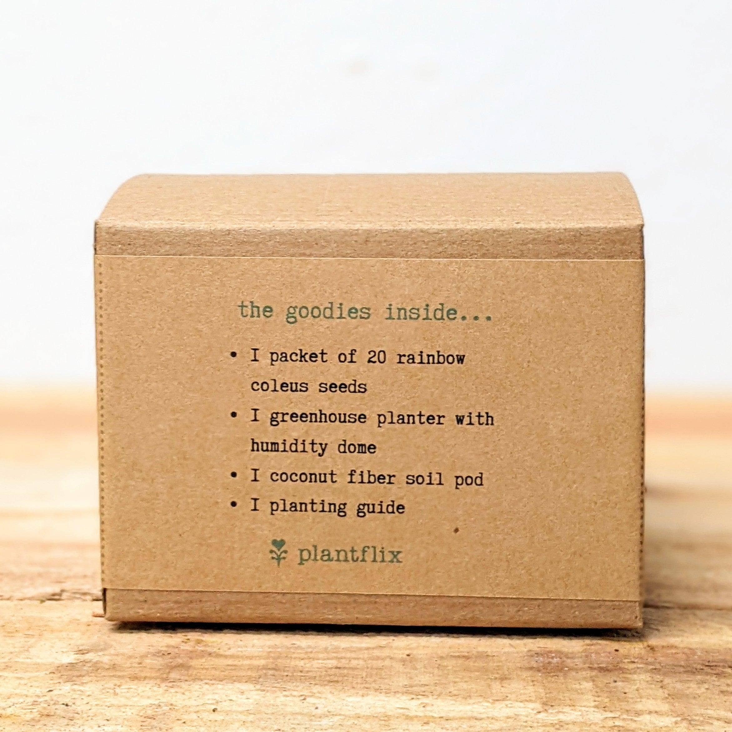 Houseplant Seed Kit