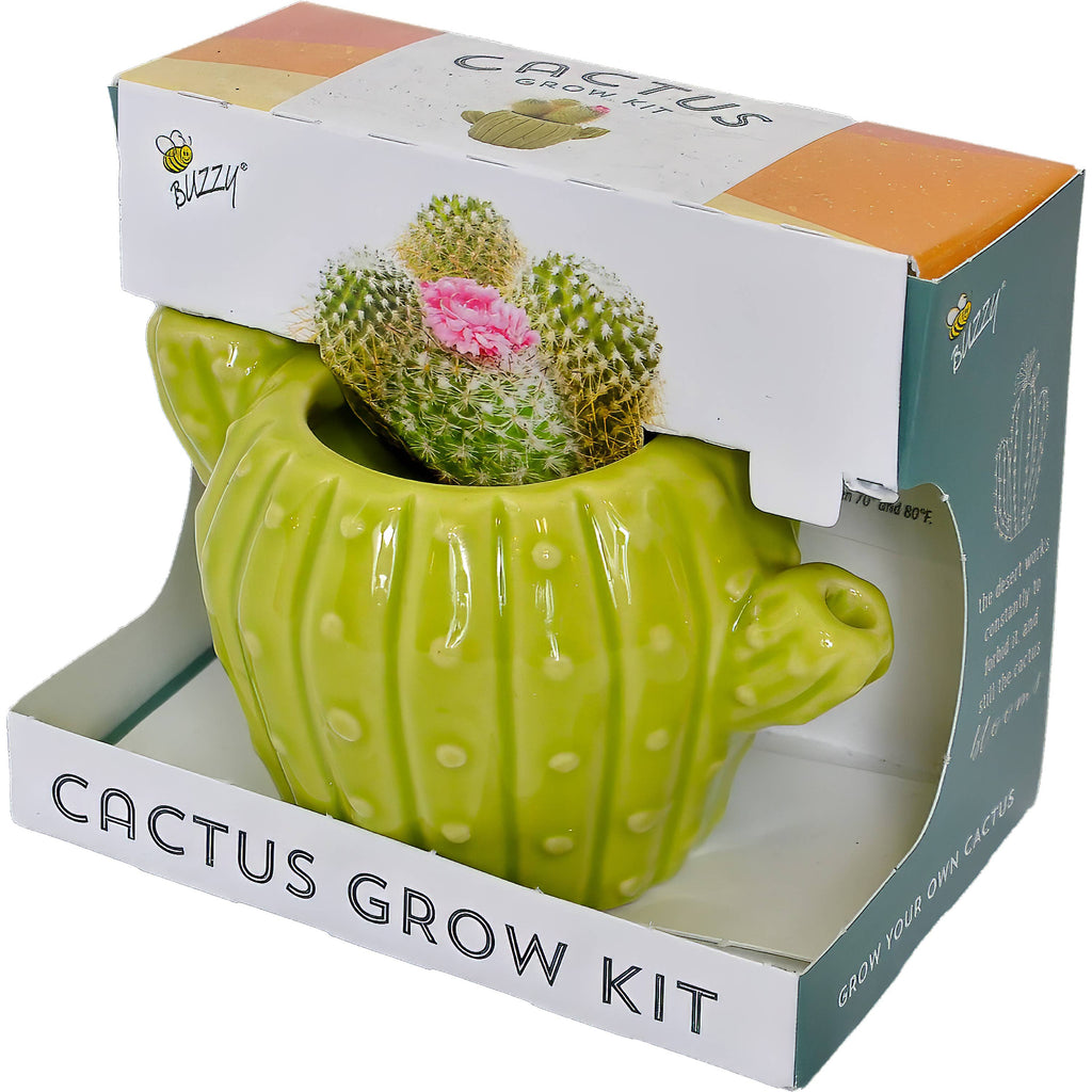 Classic Cactus Grow Kit | Terracotta Planter