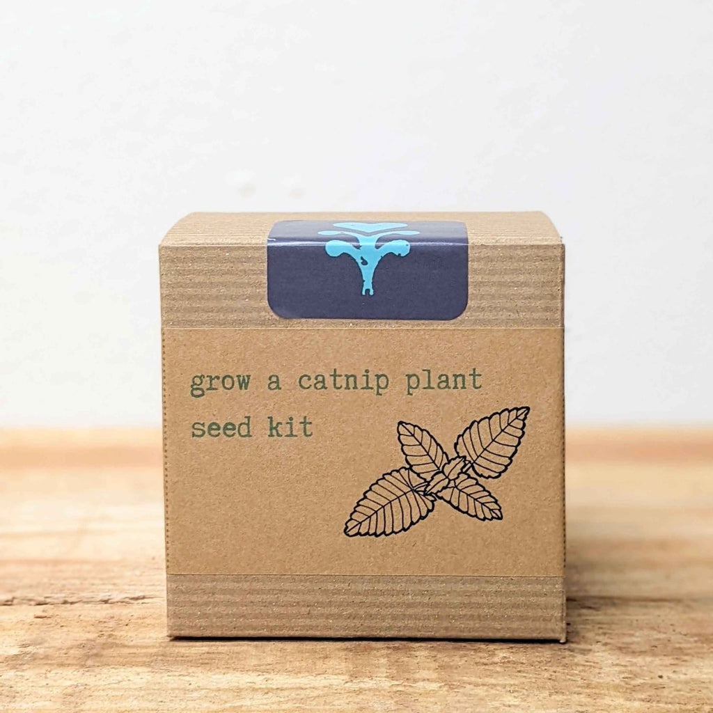 Catnip Beginner Grow Kit