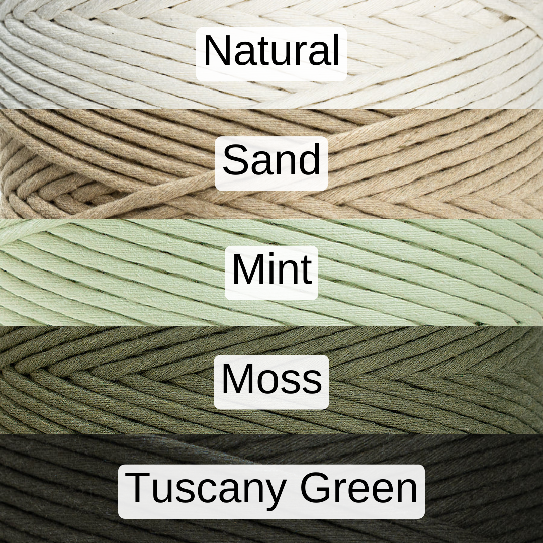 Small Macramé Plant Hanger - The Twist