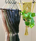 The Quartz - Wall Based Plant Hanger