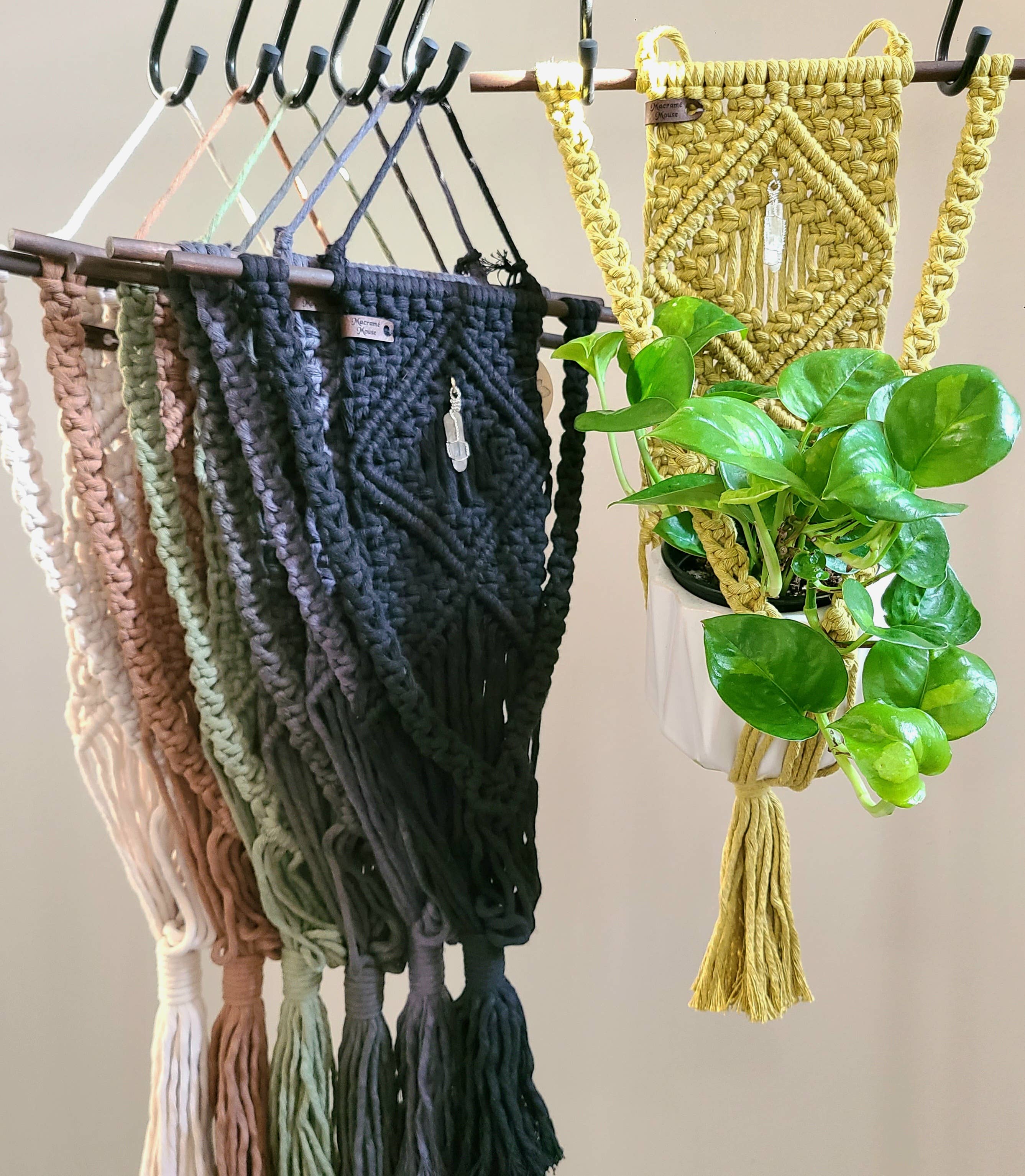 The Quartz - Wall Based Plant Hanger