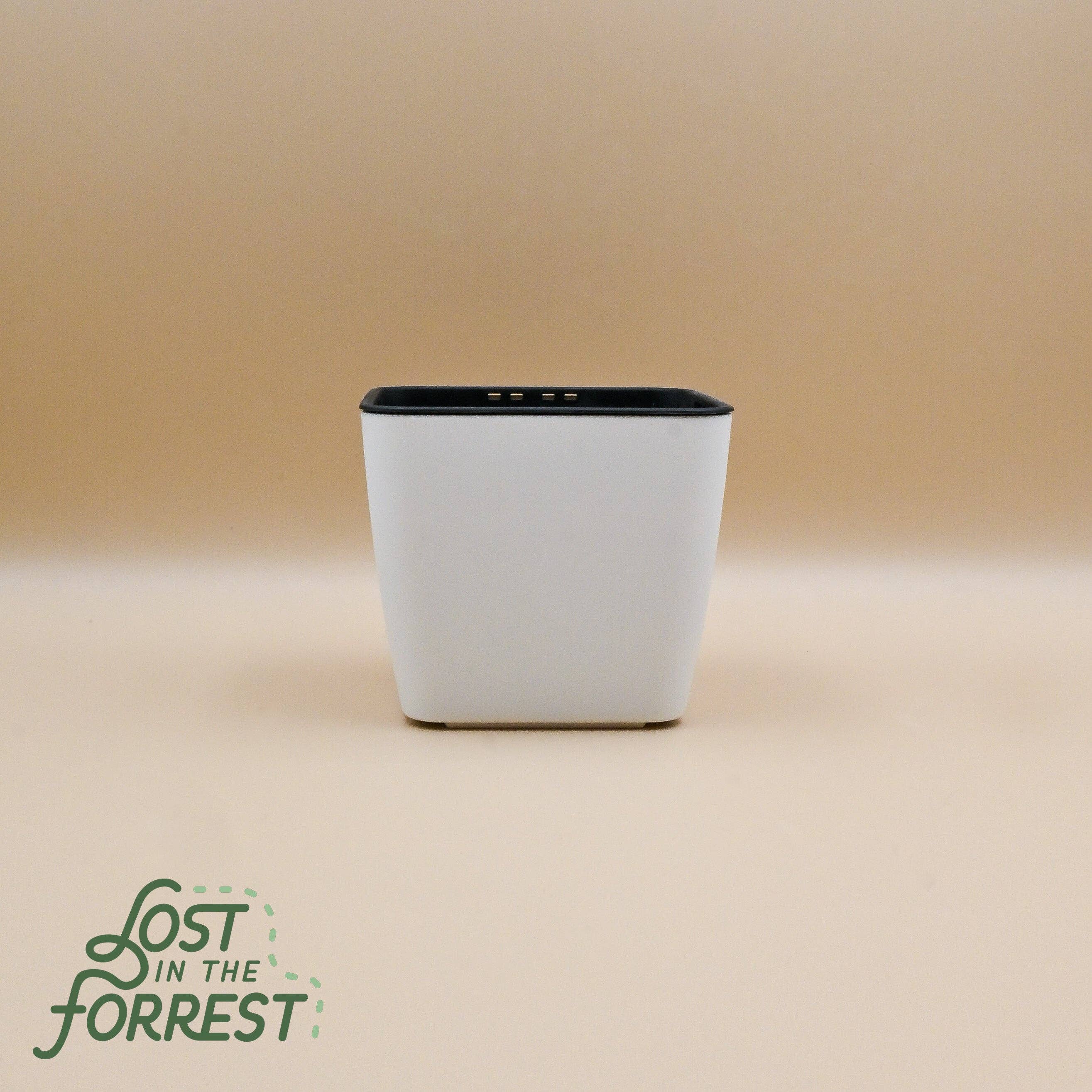 Self-Watering Pot