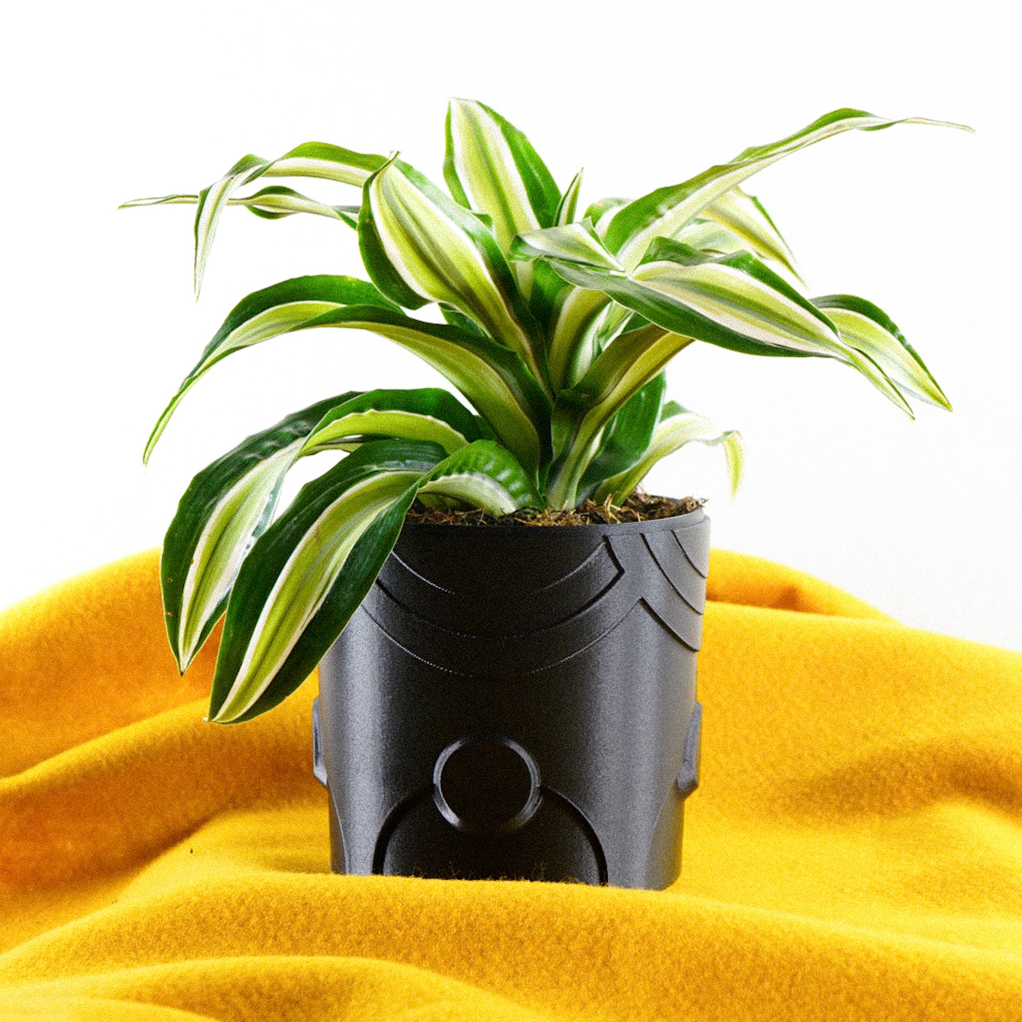 Deep Space Planter