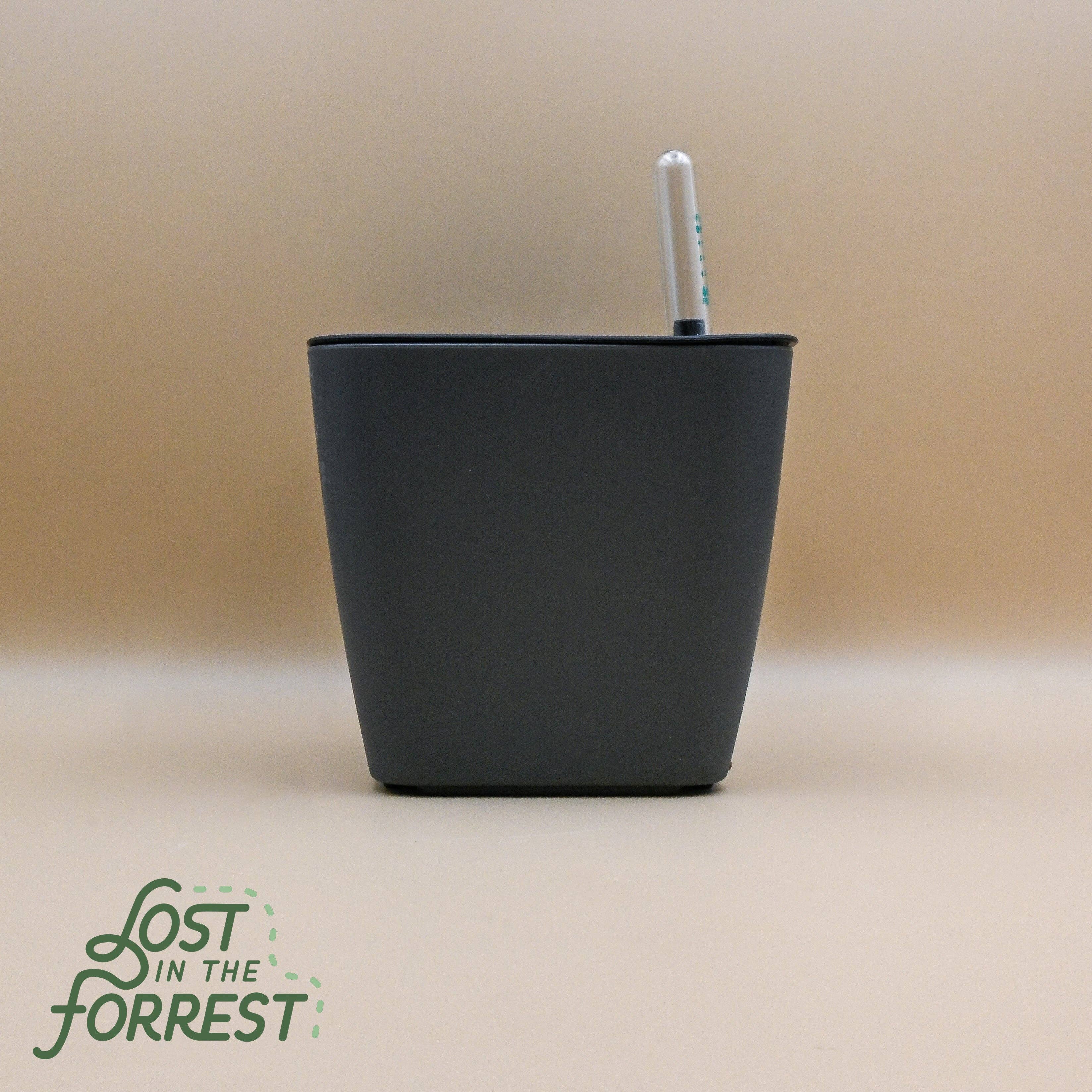 Self-Watering Pot